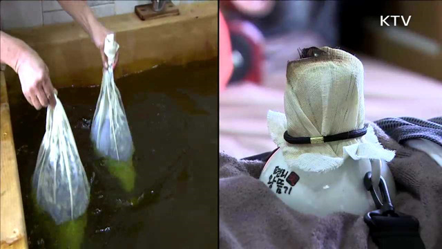 '한방체험·문학투어'...지역 전통문화체험 각광