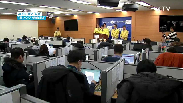 AI '심각'으로 격상…"최고수준 방역대책"