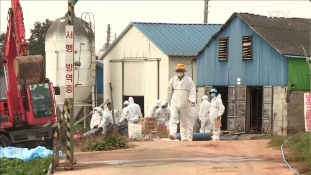 AI 기동방역타격대 운영…계란수입 지원