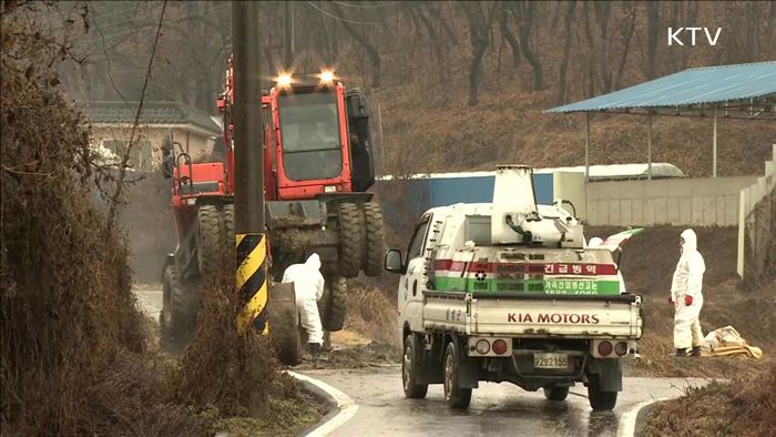 'AI와의 사투'…가축방역관의 하루
