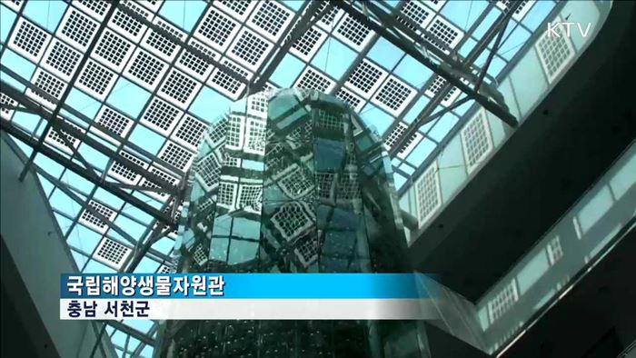 '가족 체험여행', 1월에 가볼 만한 곳은?