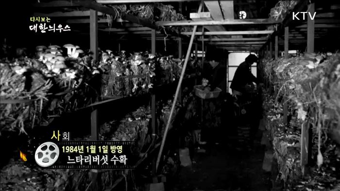 다시보는 대한늬우스 (84.01.01) 이미지