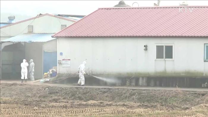 "고양이-사람 전파 희박…접촉자 모니터링"