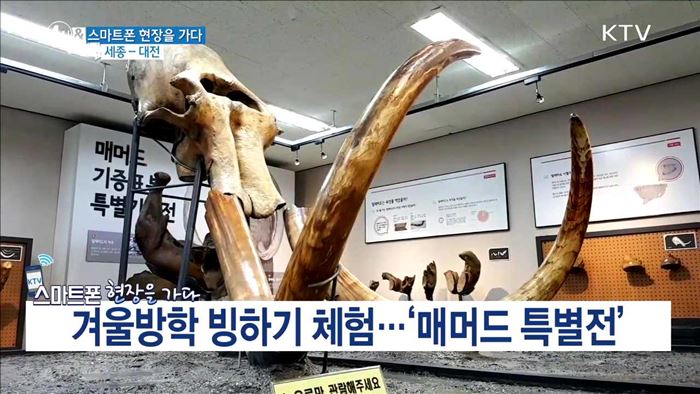 4시& 브리핑 (144회)