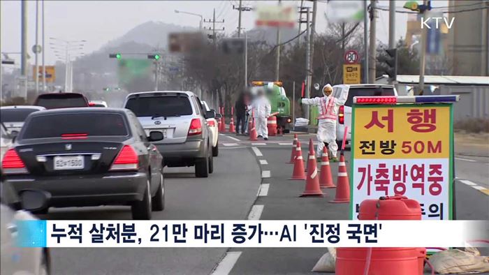 AI'진정 국면'…추가 확산 방지 만전