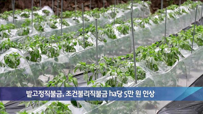 밭고정직불금, 조건불리직불금 ha당 5만 원 인상