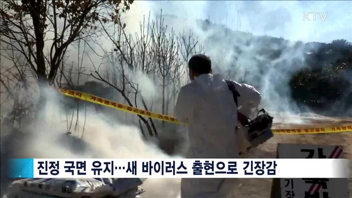 H5N8형 등장에 방역강화…샘플용 수입 달걀 도착