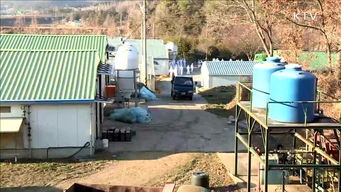 이틀째 의심신고 '0건'…'진정 국면' 기대감