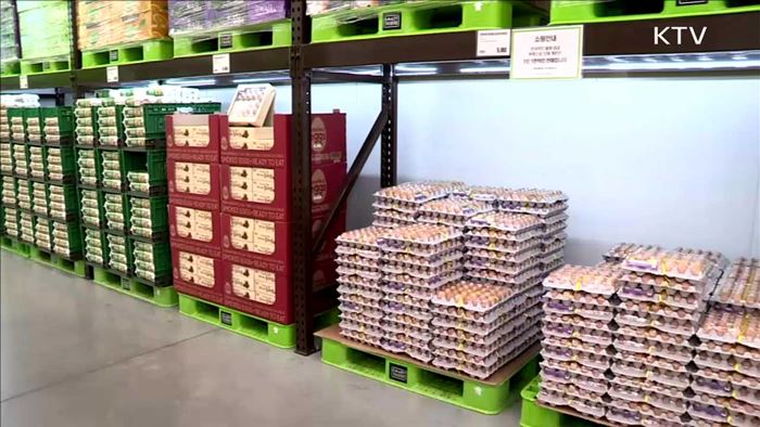 김포서 AI 의심신고…음식물 주는 가금농장 단속