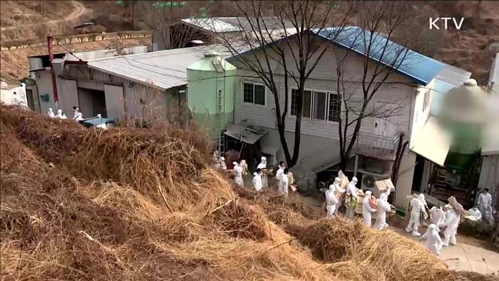 설 명절 '특별 방역 대책'…AI 총력 대응