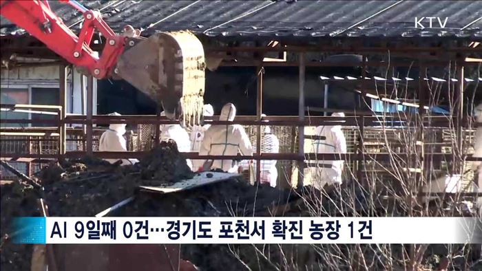 AI 진정세 유지…최대 변수 '철새'