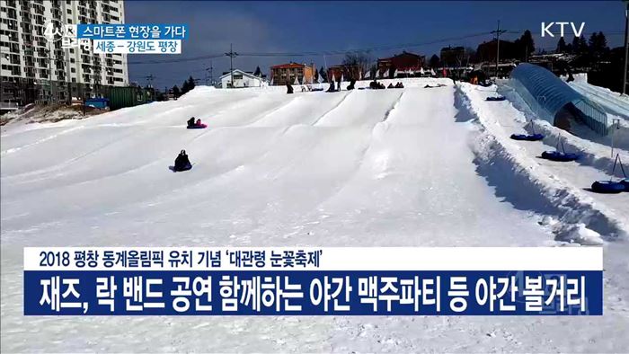 2018 평창 동계올림픽 유치 기념 '대관련 눈꽃축제'