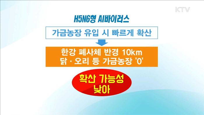 한강 폐사체 고병원성AI… "재확산 가능성 낮아"