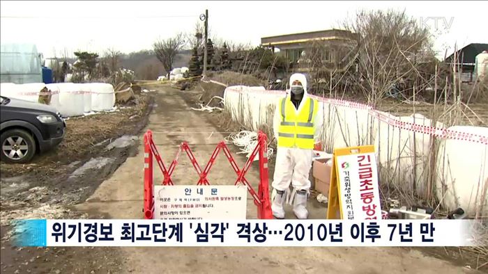 구제역 위기경보 '심각' 격상…전파 차단 '총력'