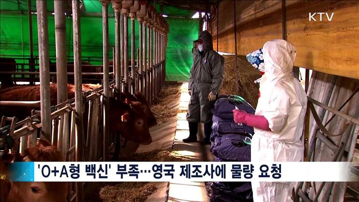 "백신 긴급수입"…축산차량 15일 '일제소독'