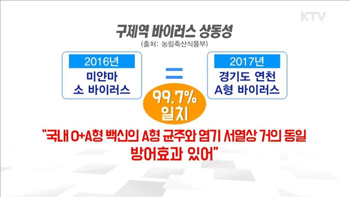KTV 뉴스 (17시) (531회)
