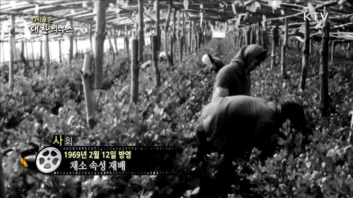 다시보는 대한늬우스 (69.02.12) 이미지