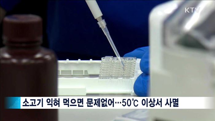 구제역 바이러스 섭씨 50도 이상서 '사멸'