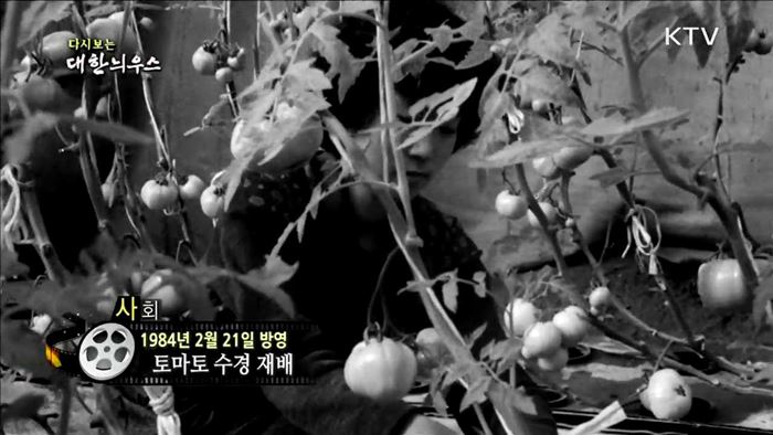 다시보는 대한늬우스 (84.02.21) 이미지