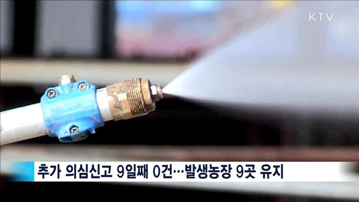 구제역 진정세 '뚜렷'…막바지 방역 '총력'