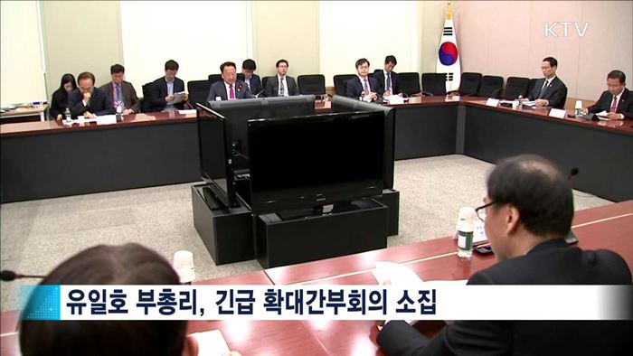 정부, 경제 상황 점검…"경제살리기에 역량 모아야"