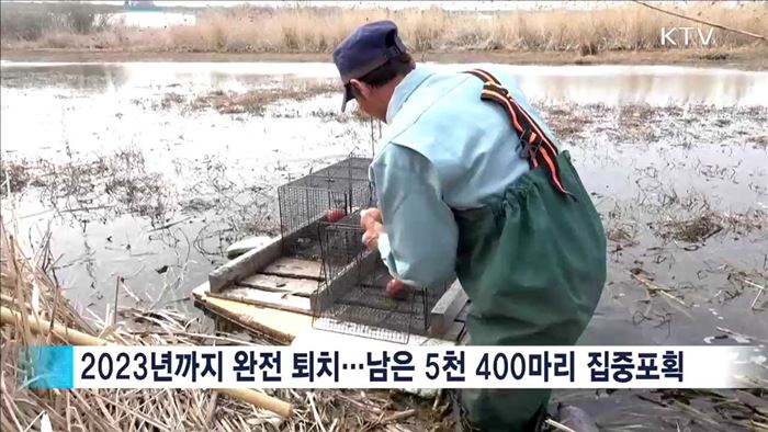 병원체 덩어리 '뉴트리아'…"먹으면 위험해요"