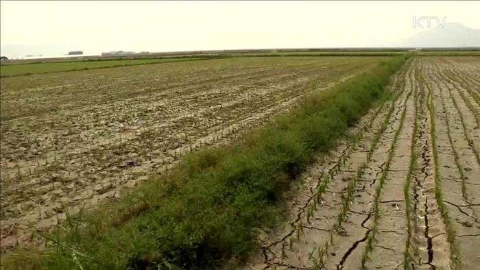 충남·경기 봄 가뭄 대비 '현장점검'