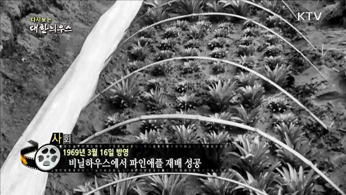 다시보는 대한늬우스 (69.03.16) 이미지