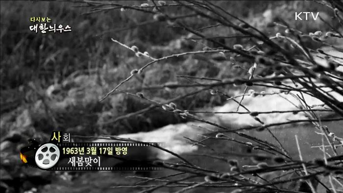 다시보는 대한늬우스 (63.03.17) 이미지