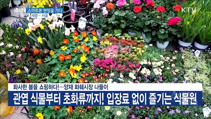 4시& 브리핑 (193회)