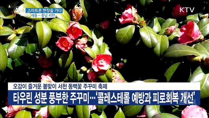 4시& 브리핑 (194회)
