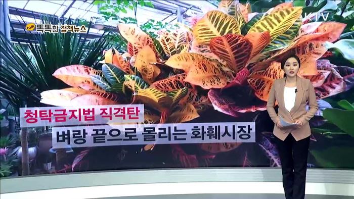 청탁금지법 직격탄 벼랑끝으로 몰리는 화훼시장 [똑똑한 정책뉴스]