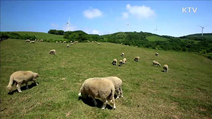 기차 타고 떠나는 '으뜸 농촌마을 여행'