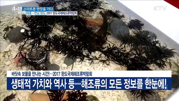 바닷속 보물을 만나는 시간!···2017 완도국제해조류박람회