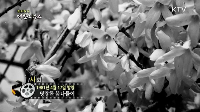 다시보는 대한늬우스 (81.04.17) 이미지