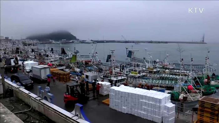 오징어·갈치 등 6천700톤 방출…"수산물 가격 안정"