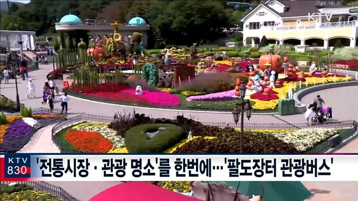 "버스 타고 전통시장·봄 여행 떠나요"