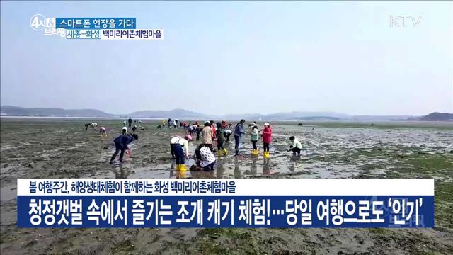 4시& 브리핑 (219회)