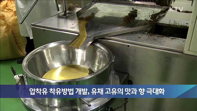 압착유 착유방법 개발, 유채 고유의 맛과 향 극대화