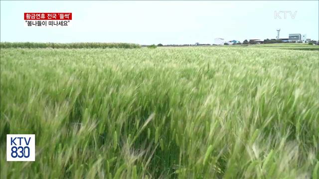 "국내여행 떠나요"…전국 곳곳에서 다채로운 행사
