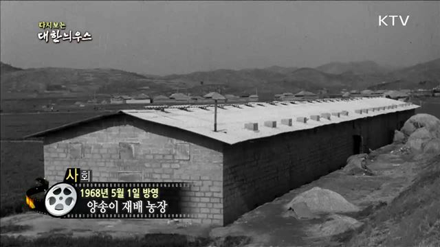 다시보는 대한늬우스 (68.05.01) 이미지