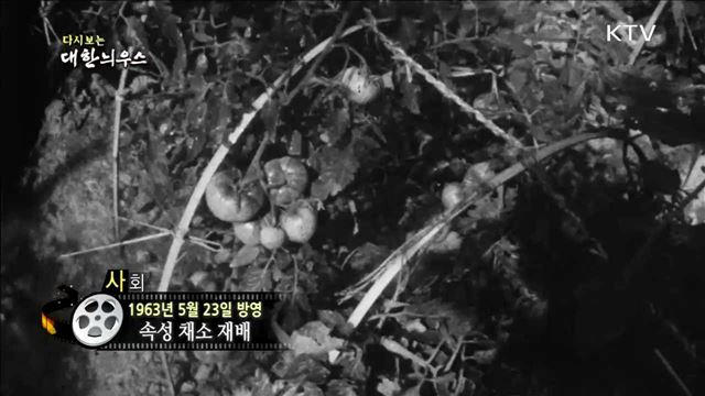 다시보는 대한늬우스 (63.05.23) 이미지