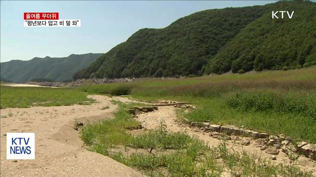 "올 여름, 평년보다 덥고 비 덜온다"