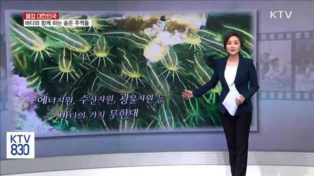 바다와 함께 하는 숨은 주역들 [열정 대한민국]