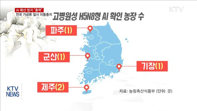 AI 확산 방지…닭·오리 24시간 '이동중지'