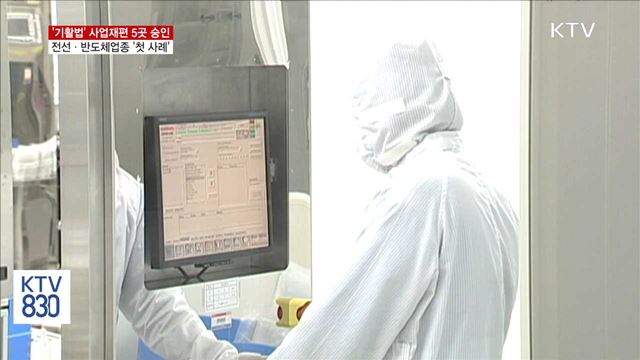 '기활법' 사업재편 5곳 승인..전선·반도체 '첫 사례'
