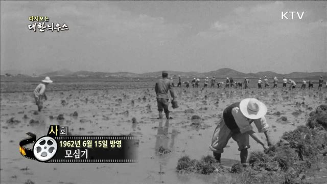 다시보는 대한늬우스 (62.06.15) 이미지