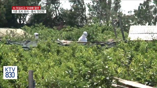 AI 추가 의심신고 없어…'종식' 기대감