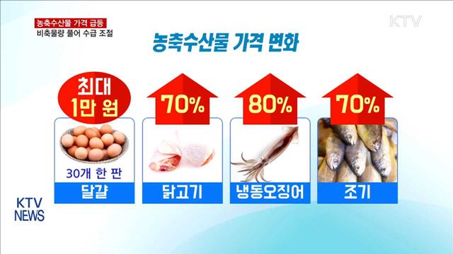 농축수산물 가격 급등…비축물량 풀어 조절
