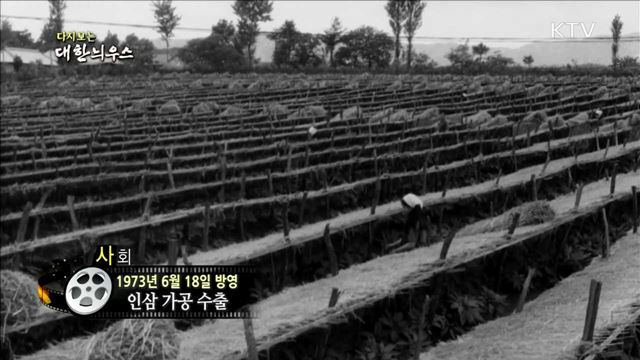 다시보는 대한늬우스 (73.06.18) 이미지